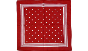 Fasnet Stofftuch Halstuch Bandana gepunktet