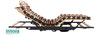 Motorrahmen dormabell Innova M3 memory