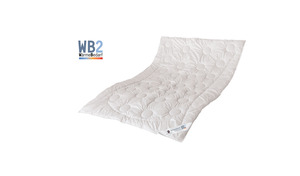 Zudecke dormabell Klima Faser Edition WB 2